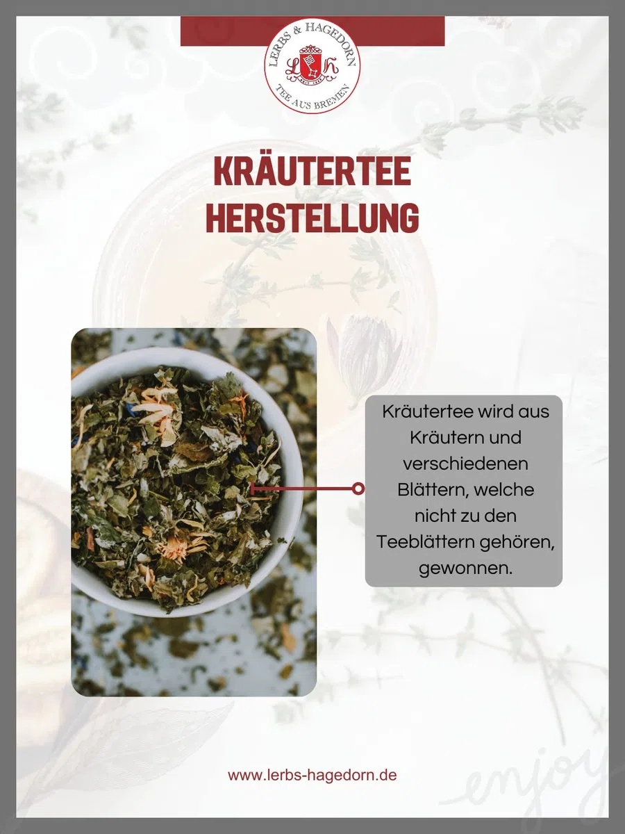 Lerbs & Hagedorn, Bio herbata ziołowa imbir aronia | imbir cytrusowy mięta 1 kg (ok. 81 litrów) z nasionami kopru włoskiego, anyżu, korzeniami lukrecji