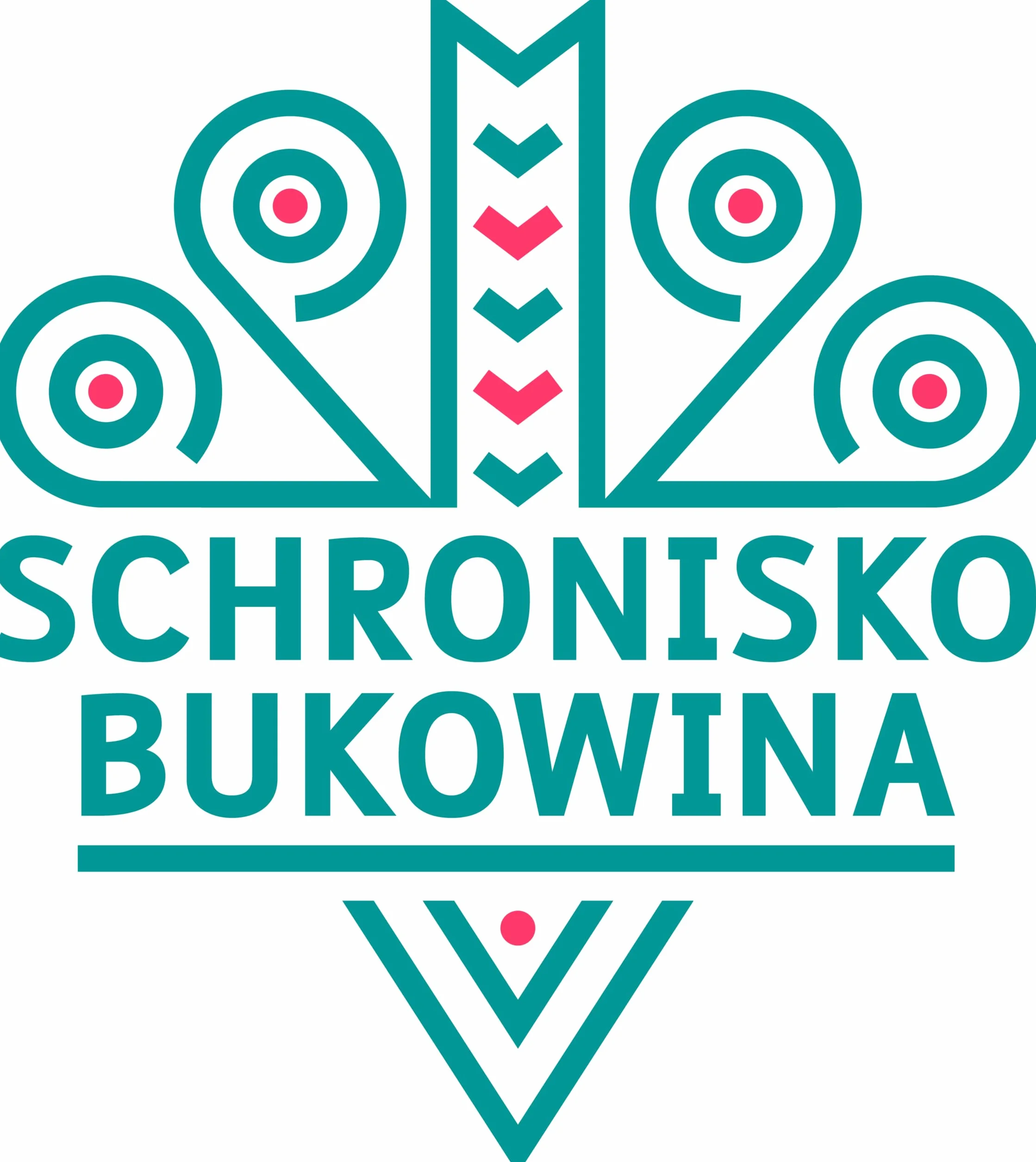 Krem z pomidorów wegetariański Schronisko Bukowina danie gotowe