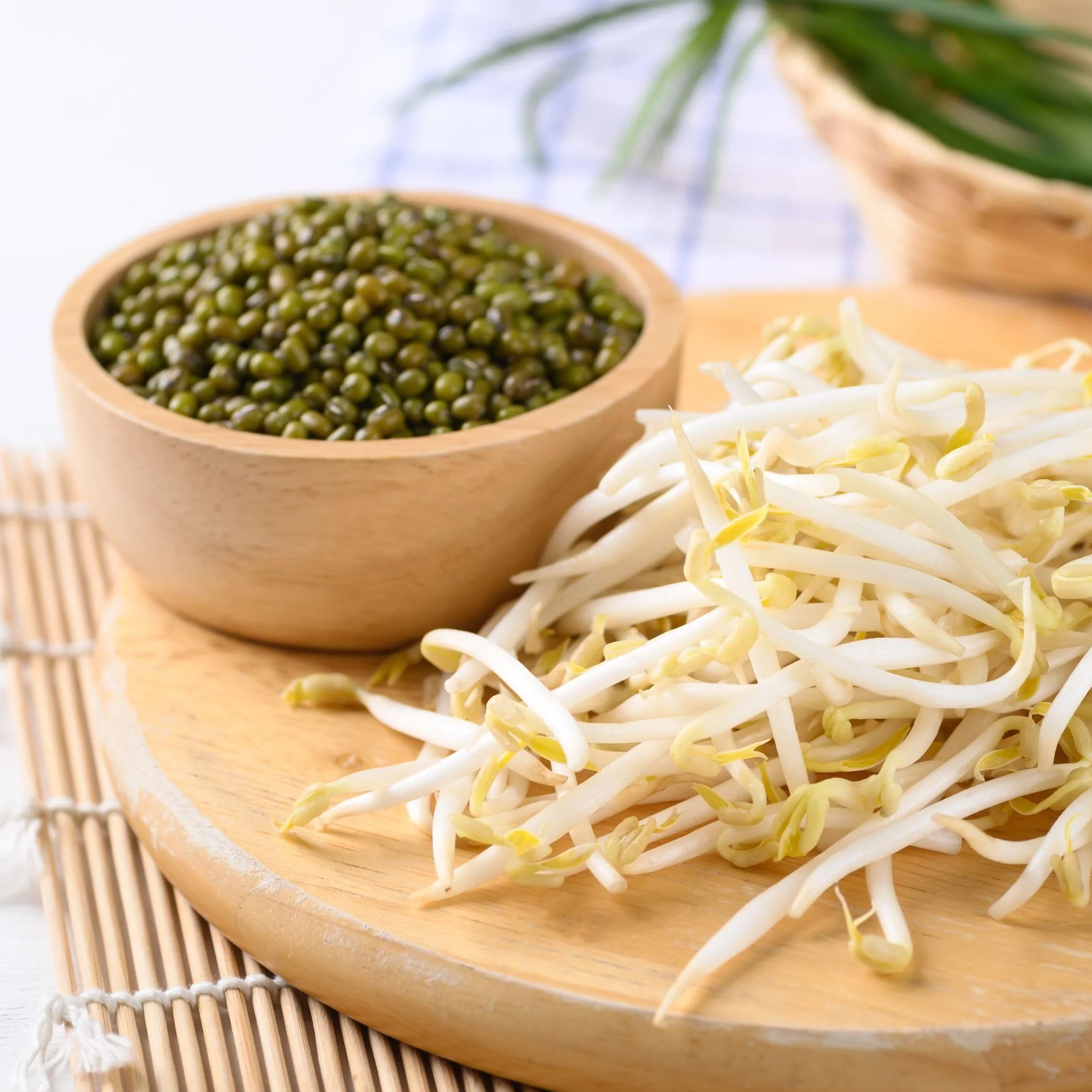 Alpi Nature Fasola Mung 500g, Zielona Fasola Mung do Gotowania, Zup i Curry, Bezglutenowa